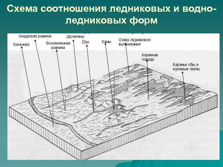 Схема соотношения ледниковых и водноледниковых форм 