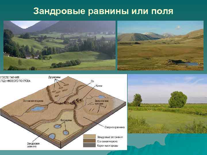 Зандровые равнины или поля 