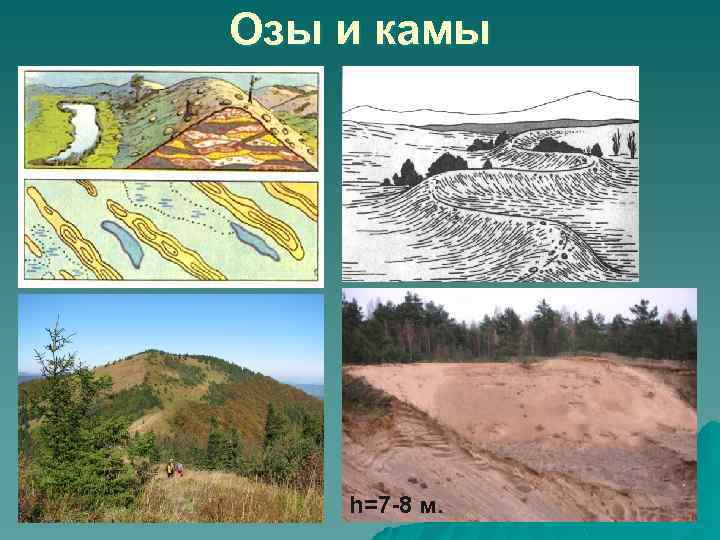 Озы и камы h=7 -8 м. 