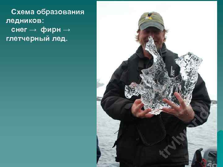 Схема образования ледников: снег → фирн → глетчерный лед. 