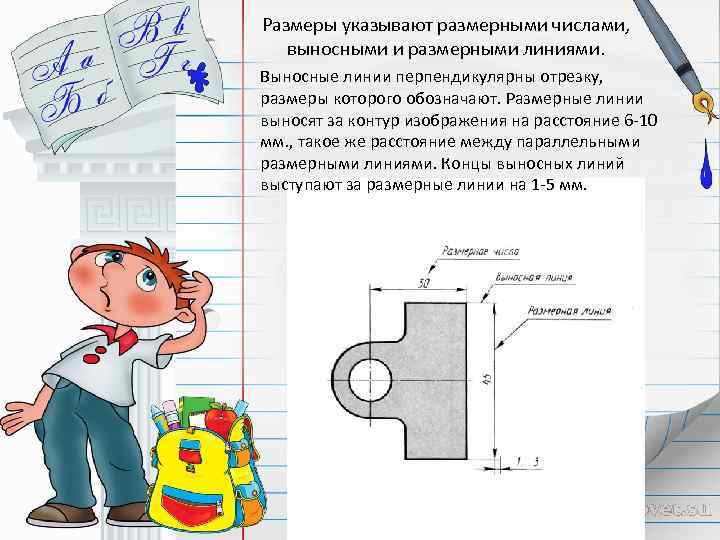 Размеры указывают размерными числами, выносными и размерными линиями. Выносные линии перпендикулярны отрезку, размеры которого