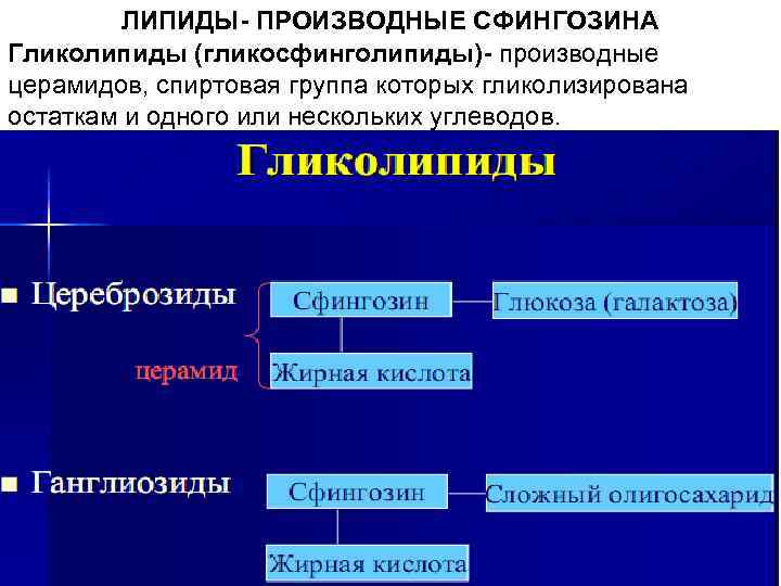 ЛИПИДЫ- ПРОИЗВОДНЫЕ СФИНГОЗИНА Гликолипиды (гликосфинголипиды)- производные церамидов, спиртовая группа которых гликолизирована остаткам и одного