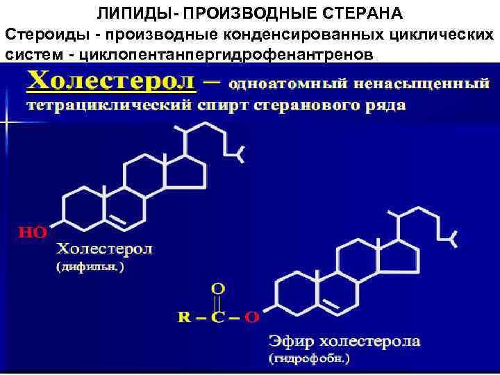 ЛИПИДЫ- ПРОИЗВОДНЫЕ СТЕРАНА Стероиды - производные конденсированных циклических систем - циклопентанпергидрофенантренов 