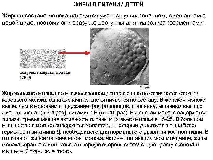 ЖИРЫ В ПИТАНИИ ДЕТЕЙ Жиры в составе молока находятся уже в эмульгированном, смешанном с