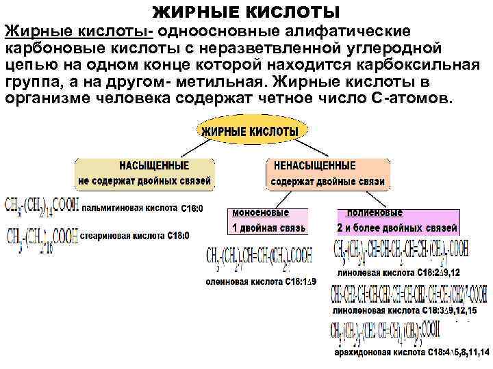 ЖИРНЫЕ КИСЛОТЫ Жирные кислоты- одноосновные алифатические карбоновые кислоты с неразветвленной углеродной цепью на одном