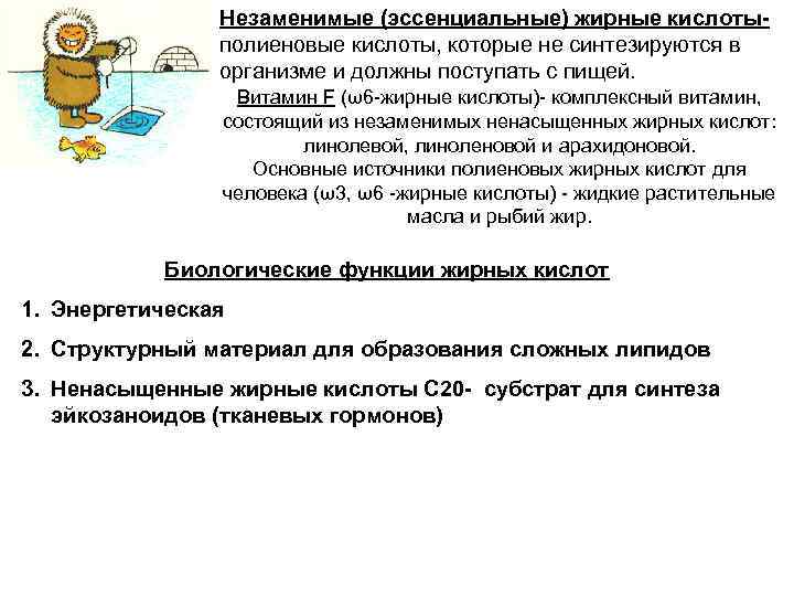Незаменимые (эссенциальные) жирные кислотыполиеновые кислоты, которые не синтезируются в организме и должны поступать с