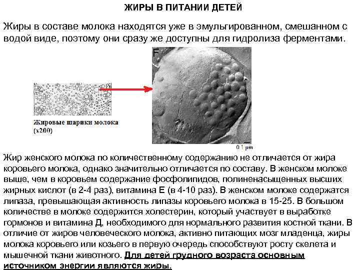 ЖИРЫ В ПИТАНИИ ДЕТЕЙ Жиры в составе молока находятся уже в эмульгированном, смешанном с