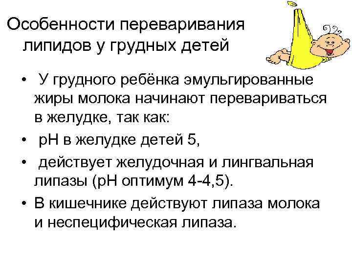 Особенности переваривания липидов у грудных детей • У грудного ребёнка эмульгированные жиры молока начинают