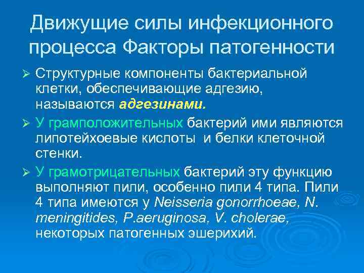 Движущие силы инфекционного процесса Факторы патогенности Ø Структурные компоненты бактериальной  клетки, обеспечивающие адгезию,