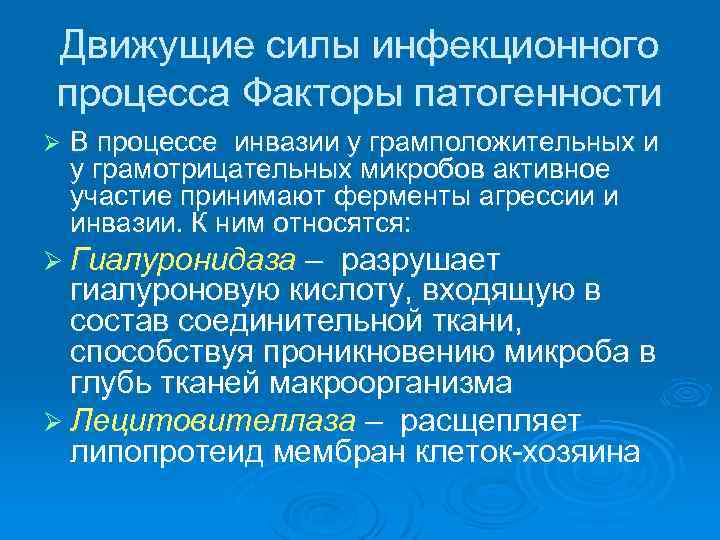 Движущие силы инфекционного процесса Факторы патогенности Ø  В процессе инвазии у грамположительных и