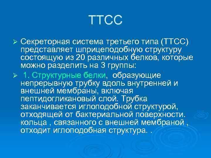    ТТСС Ø Секреторная система третьего типа (ТТСС)  представляет шприцеподобную структуру