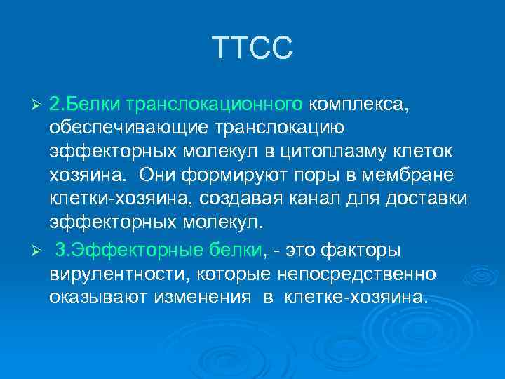    ТТСС Ø 2. Белки транслокационного комплекса,  обеспечивающие транслокацию  эффекторных