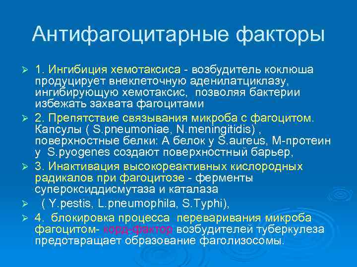   Экзотоксины   Эндотоксин       ЛПС Гр