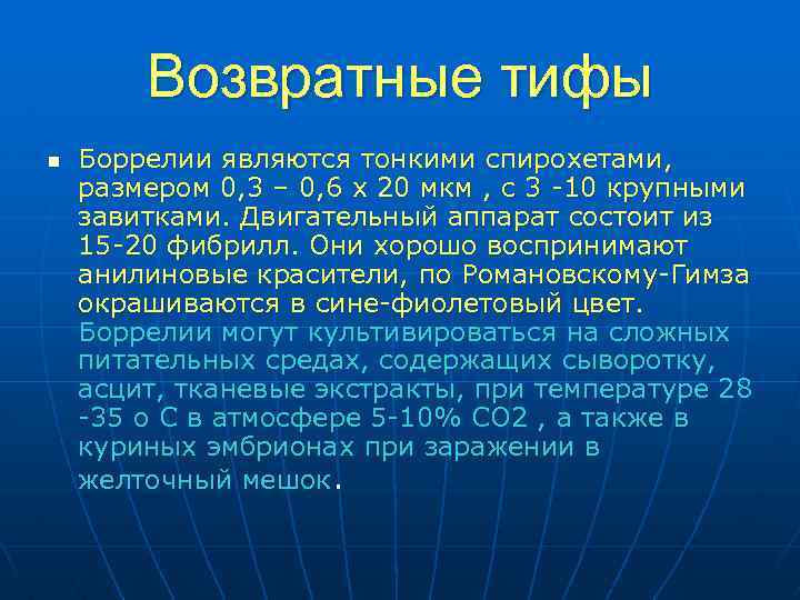 Возвратные тифы n Боррелии являются тонкими спирохетами, размером 0, 3 – 0, 6 х