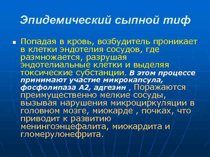 Эпидемический сыпной тиф n Попадая в кровь, возбудитель проникает в клетки эндотелия сосудов, где