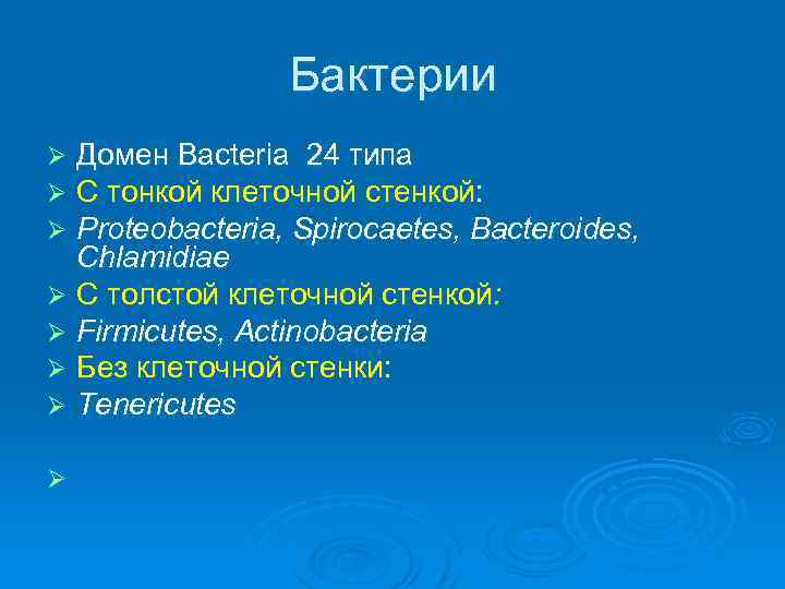Бактерии Домен Bacteria 24 типа С тонкой клеточной стенкой: Proteobacteria, Spirocaetes, Bacteroides, Chlamidiae Ø