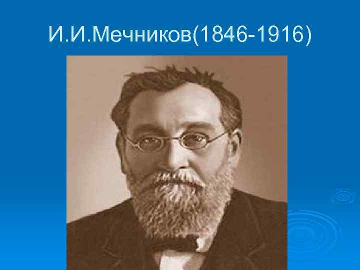 И. И. Мечников(1846 -1916) 