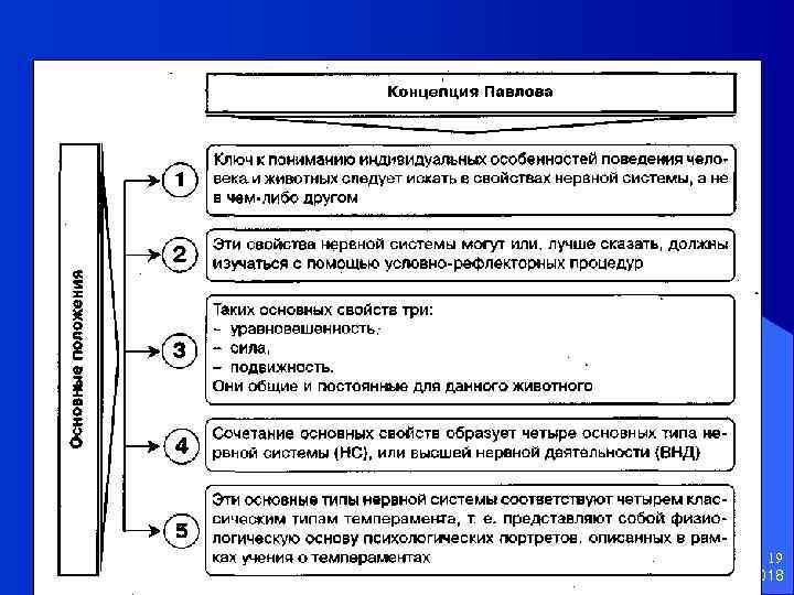 Дифференциальная психология 19 31. 01. 2018 