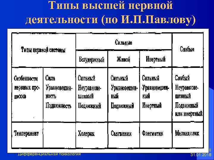 Типы высшей нервной деятельности (по И. П. Павлову) Дифференциальная психология 20 31. 01. 2018