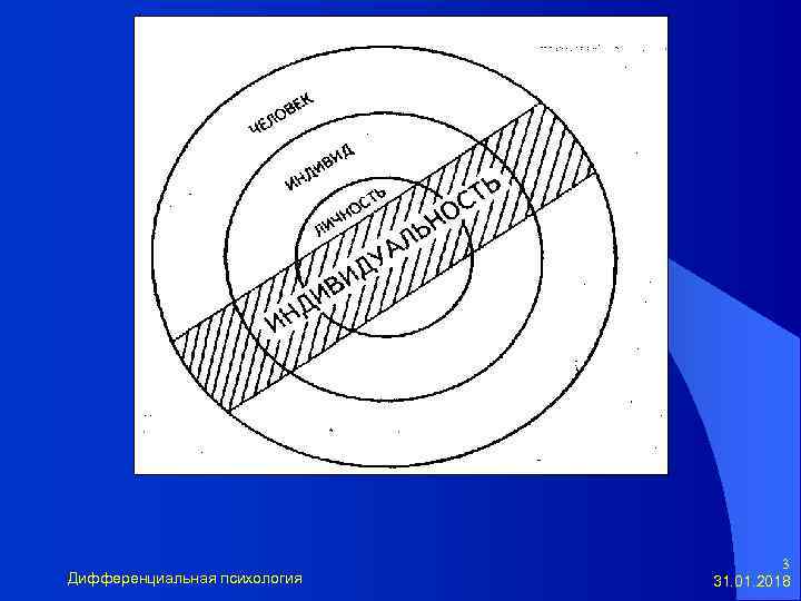 Дифференциальная психология 3 31. 01. 2018 