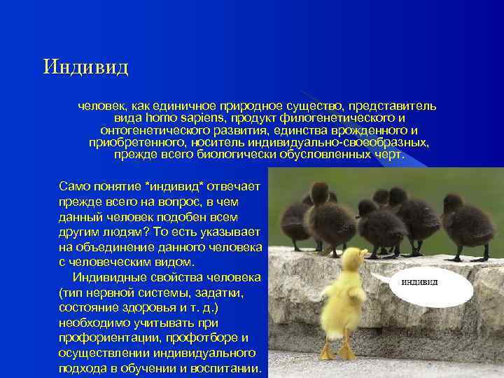 Индивид человек, как единичное природное существо, представитель вида homo sapiens, продукт филогенетического и онтогенетического