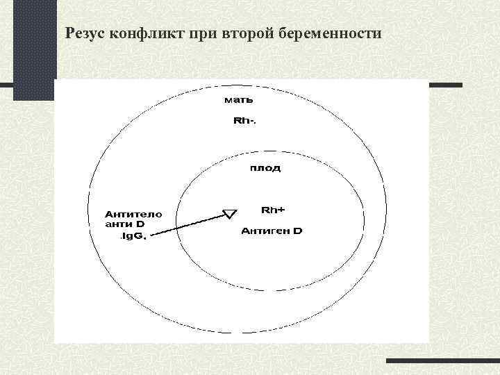Резус конфликт при второй беременности 
