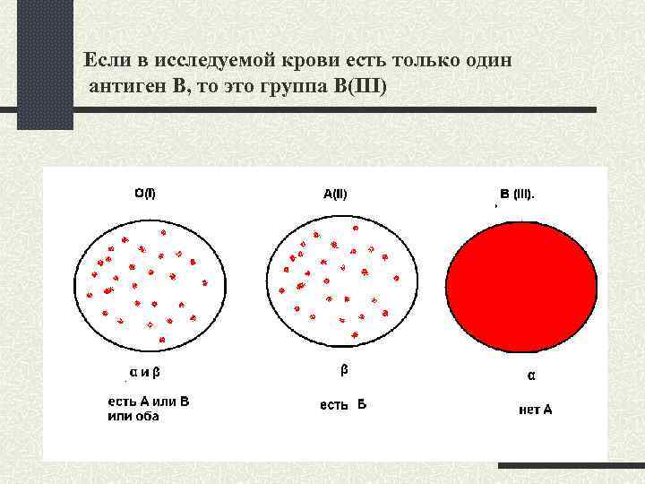 Если в исследуемой крови есть только один антиген В, то это группа В(III) 