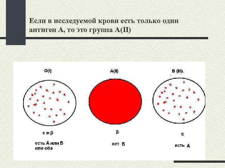 Если в исследуемой крови есть только один антиген А, то это группа A(II) 