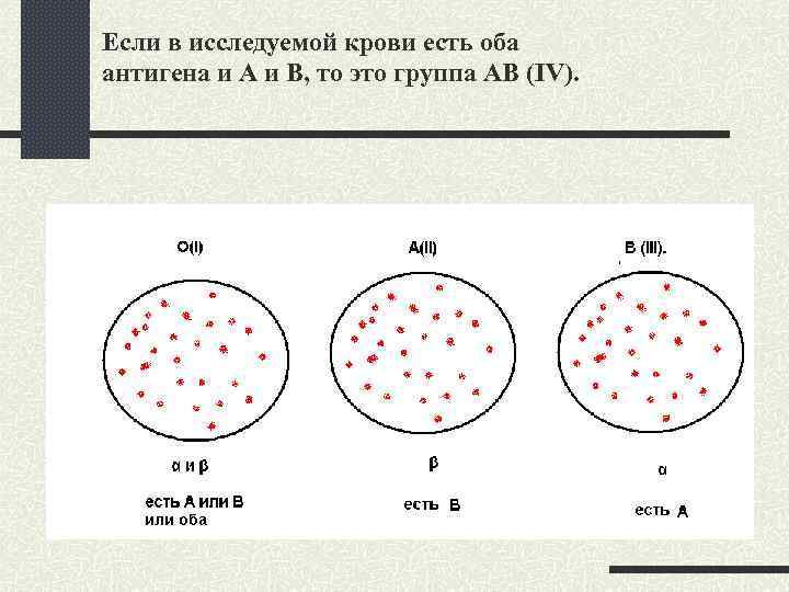 Если в исследуемой крови есть оба антигена и А и В, то это группа