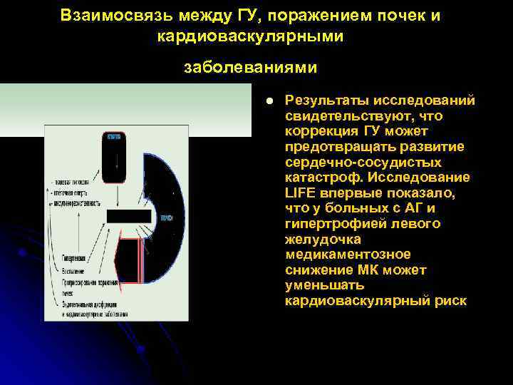 Взаимосвязь между ГУ, поражением почек и кардиоваскулярными заболеваниями l Результаты исследований свидетельствуют, что коррекция