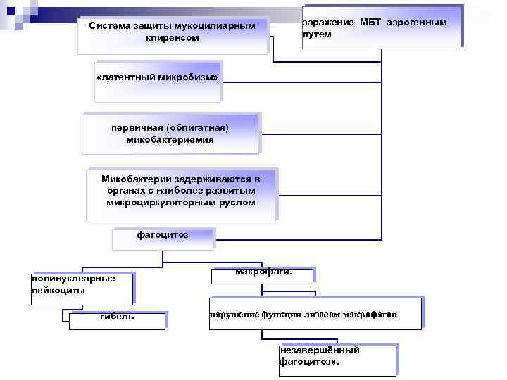 заражение МБТ аэрогенным путем Система защиты мукоцилиарным клиренсом «латентный микробизм» первичная (облигатная) микобактериемия Микобактерии