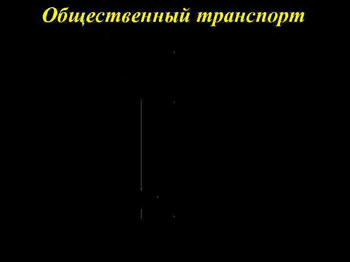 Общественный транспорт 