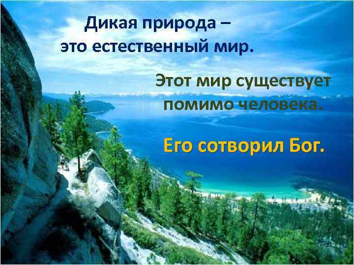 Дикая природа – это естественный мир. Этот мир существует помимо человека. 