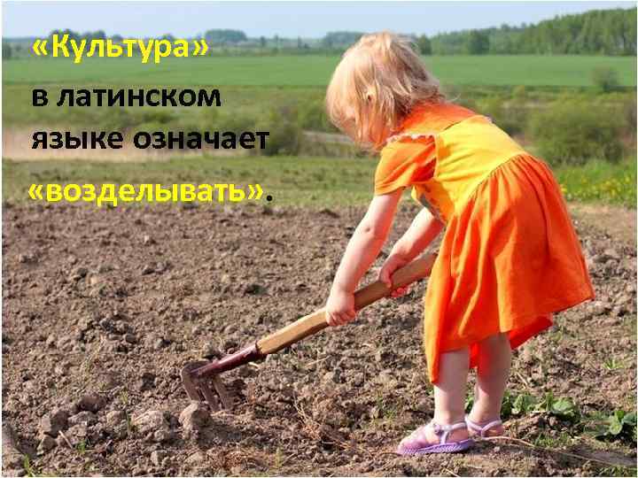  «Культура» в латинском языке означает «возделывать» . 