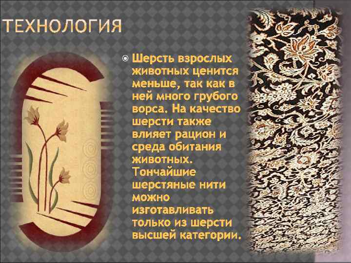  Шерсть взрослых животных ценится меньше, так как в ней много грубого ворса. На