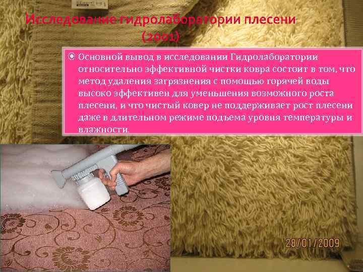 Исследование гидролаборатории плесени (2001) Основной вывод в исследовании Гидролаборатории относительно эффективной чистки ковра состоит