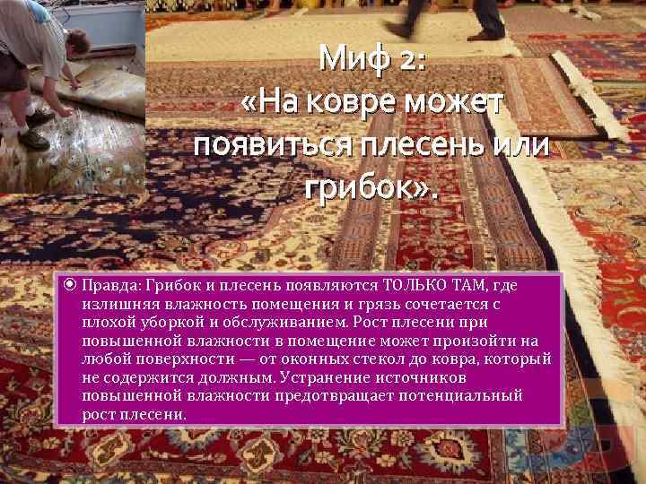 Миф 2: «На ковре может появиться плесень или грибок» . Правда: Грибок и плесень