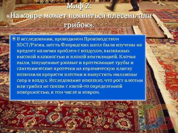 Миф 2: «На ковре может появиться плесень или грибок» . В исследовании, проводимом Производством