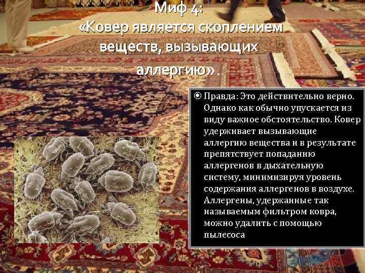 Миф 4: «Ковер является скоплением веществ, вызывающих аллергию Правда: Это действительно верно. Однако как