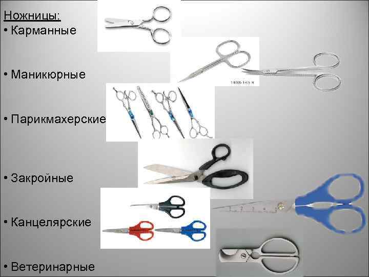 Ножницы: • Карманные • Маникюрные • Парикмахерские • Закройные • Канцелярские • Ветеринарные 