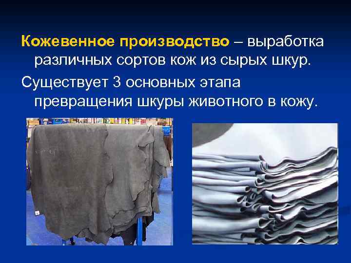 Заполните схему указав операции превращения шкуры в кожу