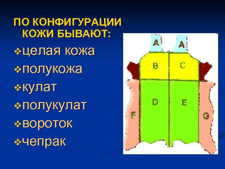 ПО КОНФИГУРАЦИИ КОЖИ БЫВАЮТ: vцелая кожа vполукожа vкулат vполукулат vвороток vчепрак 