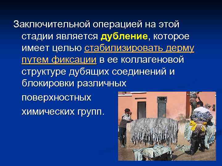 Заключительной операцией на этой стадии является дубление, которое имеет целью стабилизировать дерму путем фиксации