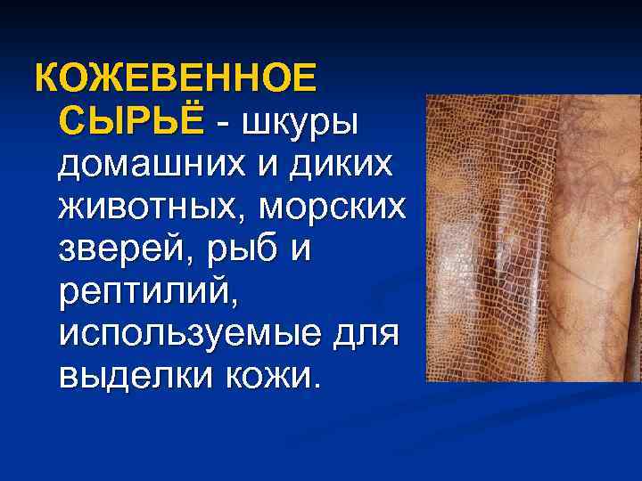 КОЖЕВЕННОЕ СЫРЬЁ - шкуры домашних и диких животных, морских зверей, рыб и рептилий, используемые