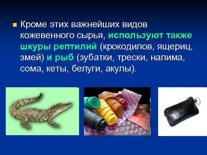 n Кроме этих важнейших видов кожевенного сырья, используют также шкуры рептилий (крокодилов, ящериц, змей)