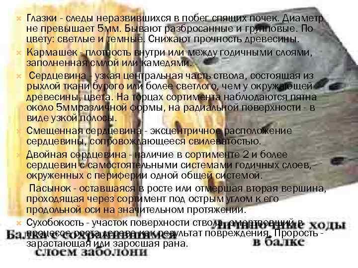  Глазки - следы неразвившихся в побег спящих почек. Диаметр не превышает 5 мм.