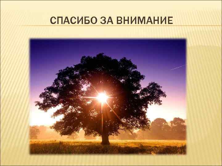 СПАСИБО ЗА ВНИМАНИЕ 