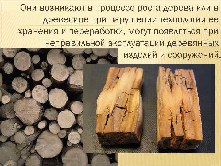 Они возникают в процессе роста дерева или в древесине при нарушении технологии ее хранения