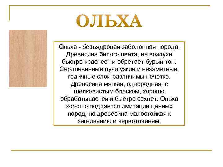Ольха - безъядровая заболонная порода. Древесина белого цвета, на воздухе быстро краснеет и обретает