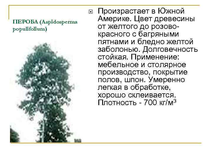  ПЕРОБА (Aspidosperma populifolium) Произрастает в Южной Америке. Цвет древесины от желтого до розовокрасного